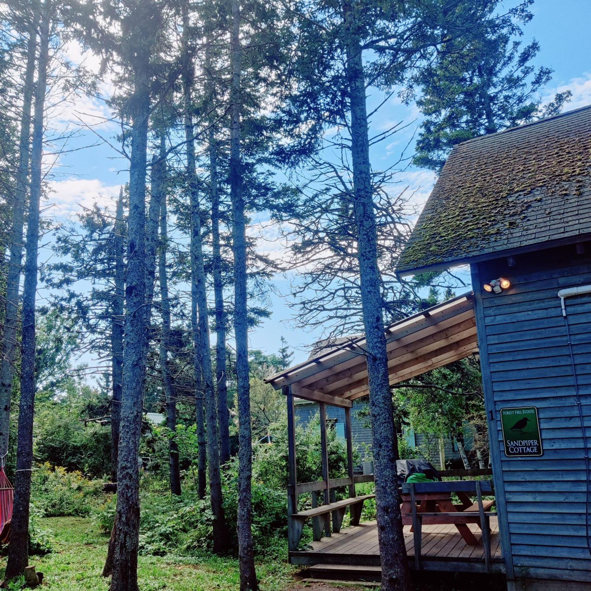 Avonlea Forest Hill Cottages New Glasgow المظهر الخارجي الصورة